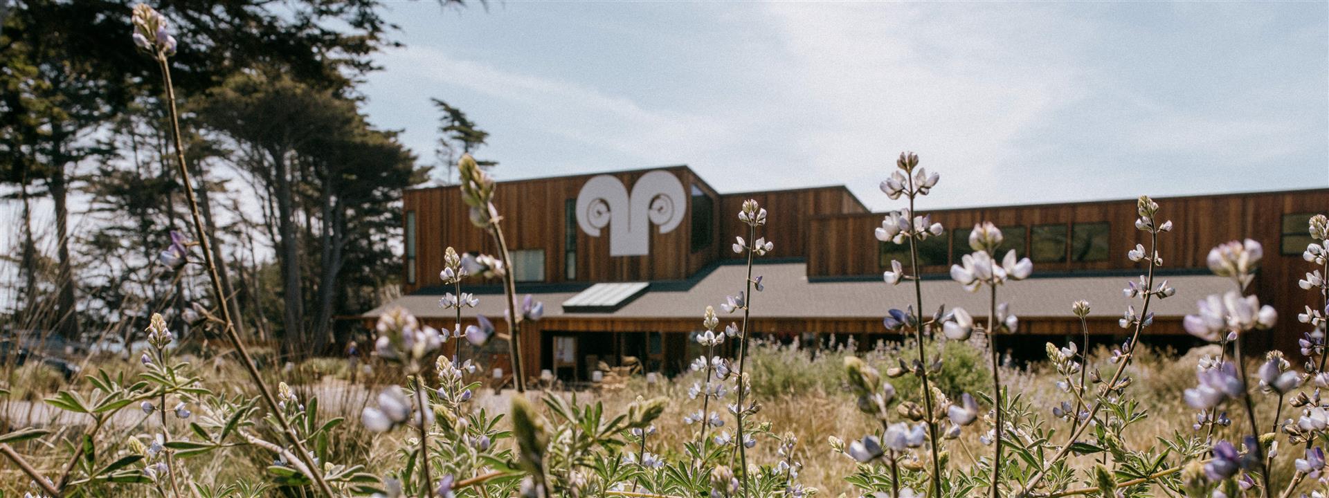 Specials The Sea Ranch Lodge Official Site