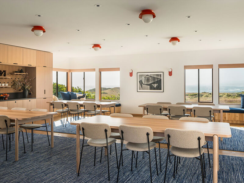 Meadow Room 1