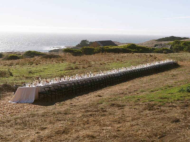 Ocean Meadow 1