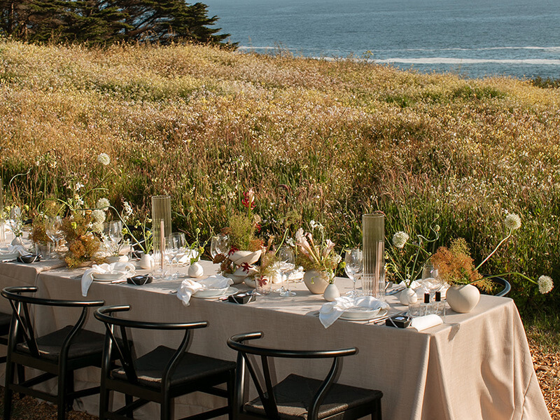 Ocean Meadow 5