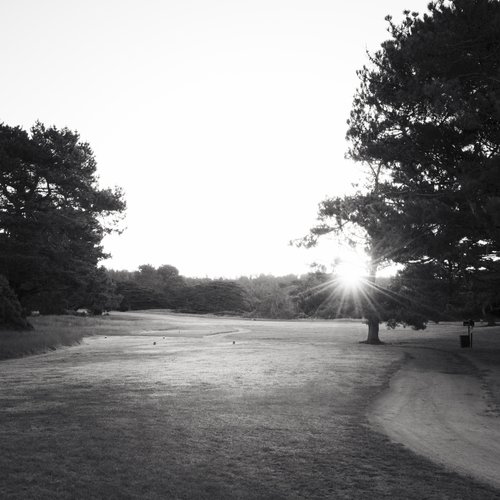 The Sea Ranch Lodge | The Sea Ranch Links